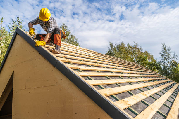 Best Roof Gutter Cleaning  in Harrison, WI