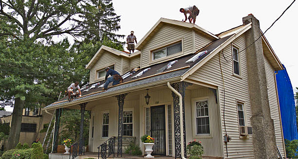 Roof Gutter Cleaning in Harrison, WI